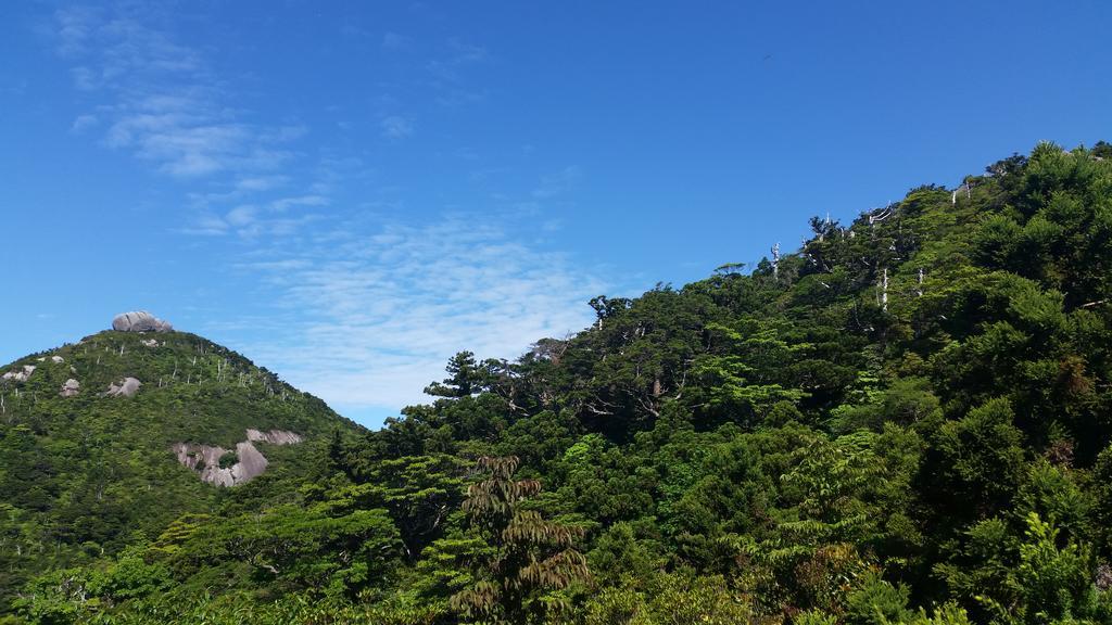 Minnsyuku Yakushimaya 야쿠시마 외부 사진